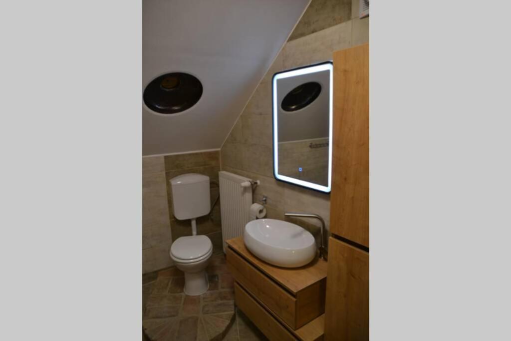 Villam Apartment Maribor Kültér fotó